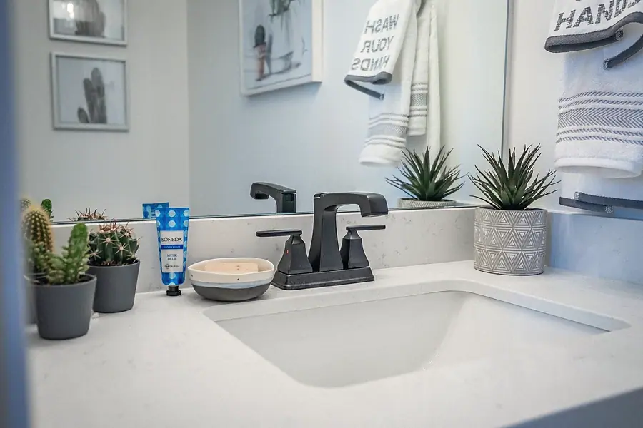 Silver Creek powder bath counter detail with black faucet, cacti, and soap dish
