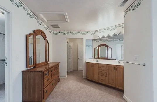 Primary vanity before